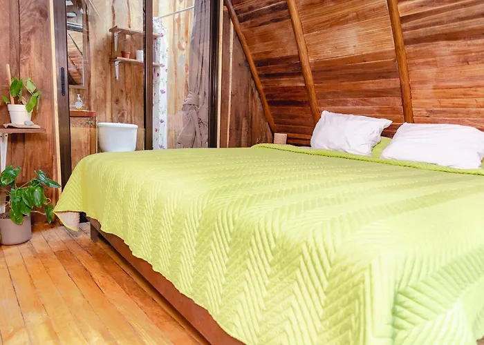 El Gato Rojas Surf Hostel