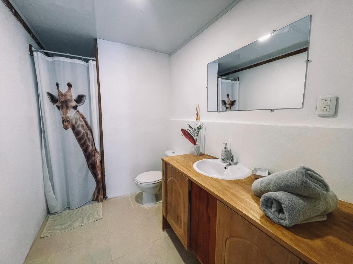 Hostel El Gato Rojas Surf *