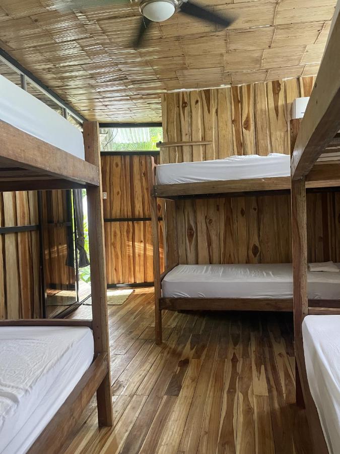 El Gato Rojas Surf Hostel