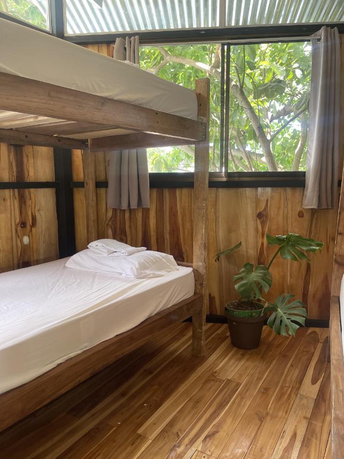 El Gato Rojas Surf Hostel *